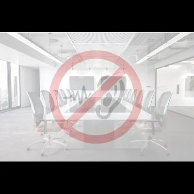 Audio Border: Anti-Bugging Countermeasures TSA